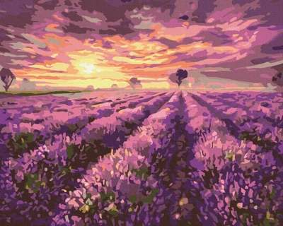 Картина по номерам Brushme Лавандовый закат 40x50 BS3230
