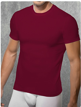 Мужская бордовая футболка Doreanse 2550 claret red размер XL