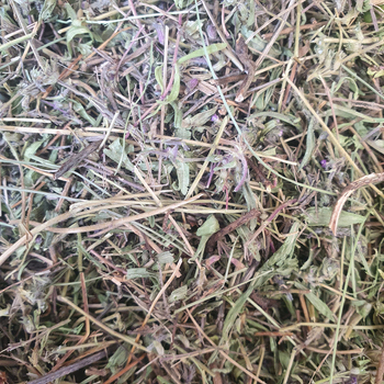 Чабрець/тим'ян повзучий трава сушена 100 г