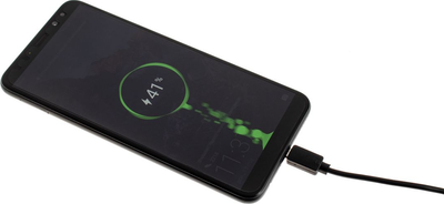 Мережевий зарядний пристрій Libox LB0143 2.1A з кабелем microUSB Чорний (ŁAD-INN-0000003)