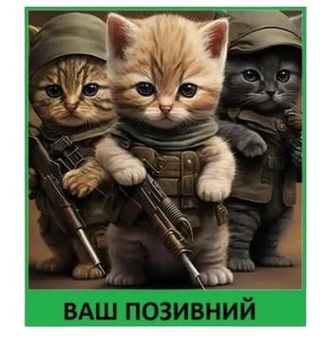 Шеврон патч "Коти в уніформі" на ліпучкі велкро