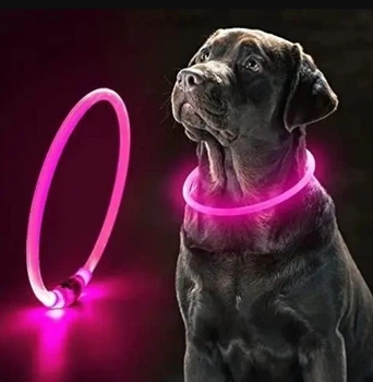 Нашийник світиться для собак Led з USB розмір M 50 см Червоний
