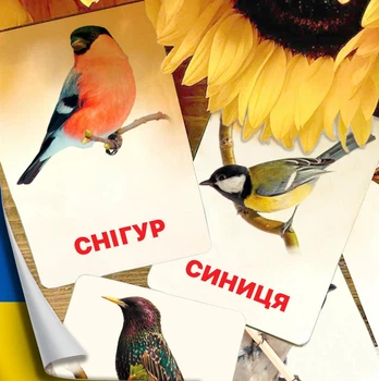 Картки Домана ''Міські птахи'' українською мовою, у наборі 16 карток