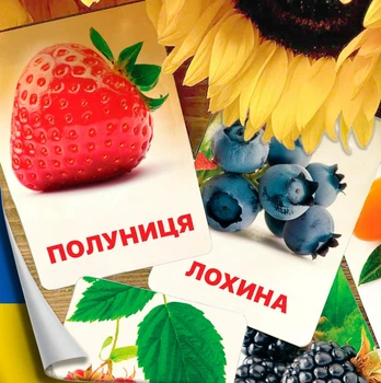 Карточки Домана ''Ягоды'' на украинском языке, в наборе 16 карточек