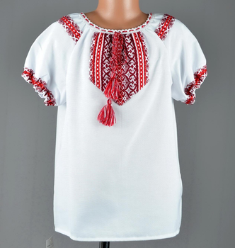 Красива вишиванка з коротким рукавом XS