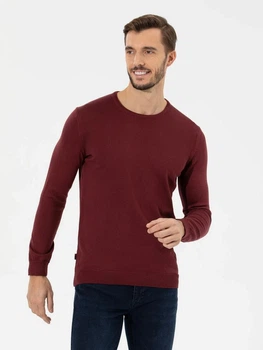 Джемпер чоловічий Pierre Cardin G021SZ0TK-000-1514729(bordo) M Бордовий (8682733837461)