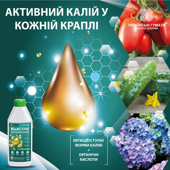 Калійне органічне добриво Українські гумати АКТИВНИЙ КАЛІЙ для активного живлення лекодоступним калієм, комплексом NPK, мікроелементами, органічними кислотами, BioACTIVE technology концентрат 1 кг (4820219190318)