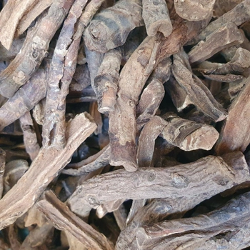 Бадан товстолистий/монгольський чай коріння сушене 100 г