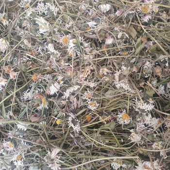 Маргаритка багаторічна махрова трава 100 г