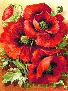 Набор алмазной вышивки Алмазная мозаика КРАСНЫЕ МАКИ 30x40 см (DM-006)