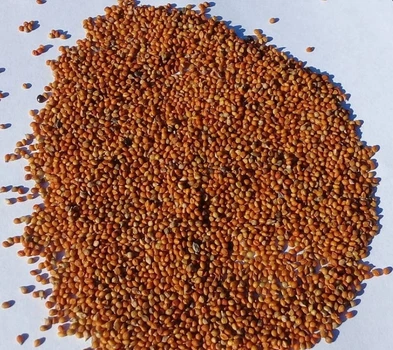 Корм RioPets чумиза для птиц 1 кг