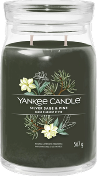 Ароматична свічка Yankee Candle Silver Sage & Pine Large Jar 567 г (5038581129037)