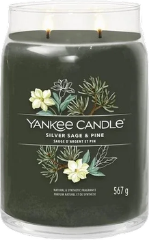 Świeca zapachowa Yankee Candle Silver Sage & Pine Large Jar 567 g (5038581129037)