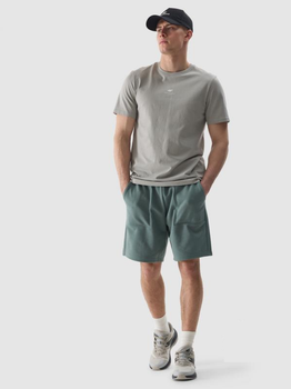 Шорти 4F SHORTS CAS M330 S Фісташковий 4FWSS24TSHOM330-43S
