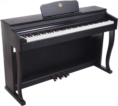 Цифровое пианино Alfabeto Allegro (Black)