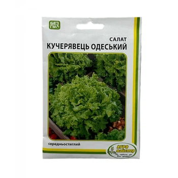 Семена Салата Кудряш Одесский UA 20 г Агро Майстер (НФ-00001869)