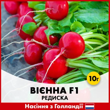 Редиска Enza Zaden Вієнна F1, 10 гр