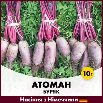 Столовая свекла Satimex Атоман, 10г