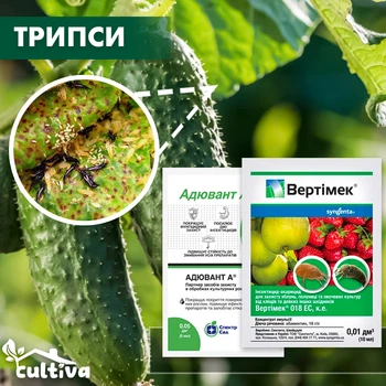 Трипси на огірках - комплект захисту