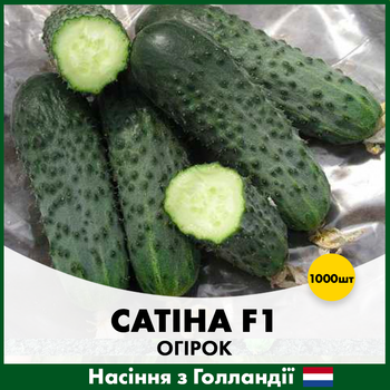Голландские семена Nunhems Огурец Сатина F1 1000 шт