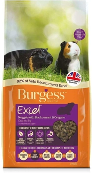 Karma dla świnek morskich Burgess Nuggets with Blackcurrant and Oregano 10 kg (5023861001042)