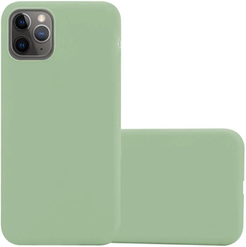 Панель Hama MagCase Finest Feel Pro для Apple iPhone 13 Pro Max Green (4047443473035)