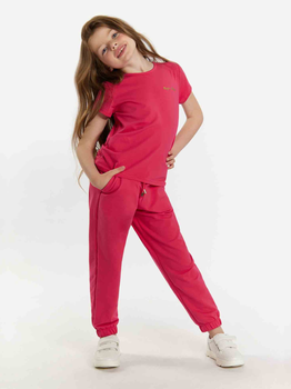 Koszulka dziecięca dla dziewczynki Tup Tup 101500-2200 122 cm Malinowa (5907744500696)