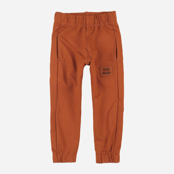 Spodnie dresowe dziecięce dla chłopca Tup Tup PIK4060-4620 98 cm Brązowe (5907744498429)