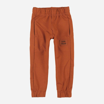 Spodnie dresowe dziecięce dla chłopca Tup Tup PIK4060-4620 110 cm Brązowe (5907744498443)