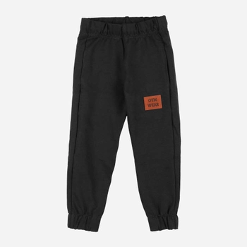 Підліткові теплі спортивні штани для хлопчика Tup Tup PIK5031-1010 146 см Чорні (5907744516994)