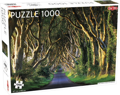 Puzzle Tactic Dark Hedges in Northern Ireland 1000 elementów (6416739582467)