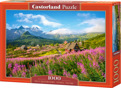 Puzzle Castorland Tatry Polska 1000 elementów (5904438104512)