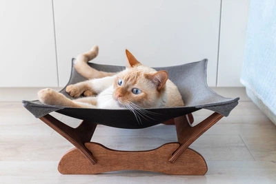 Лежаки Pet Joy Лежак - гамак brown+gray для кота 1 шт (brown1gray)