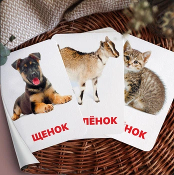 Картки Домана ''Домашні тварини та їхні дитинчата'' російською мовою, у наборі 16 карток