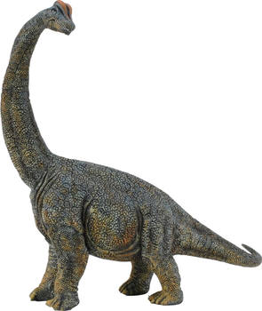 Figurka Collecta Dinozaur Brachiosaurus Deluxe 30 cm (4892900884059)