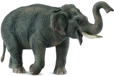 Фігурка Collecta Asian Elephant XL 15 см (4892900884868)
