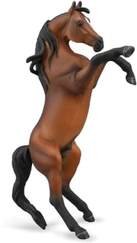 Фігурка Collecta Arabian Stallion Rearing Bay XL (4892900889931)