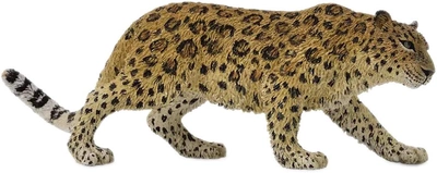 Фігурка Collecta Амурський леопард 14 см (4892900887081)