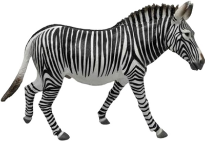 Figurka Collecta Zebra Grevy XL 13 cm (4892900887739)