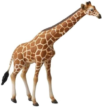 Figurka Collecta Żyrafa siatkowana 17 cm (4892900885346)