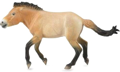 Фігурка Collecta Przewalski Stallion XL 16 см (4892900886022)