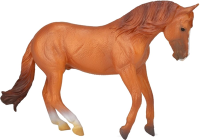 Figurka Collecta Australian Stock Horse Chestnut Stallion 16 cm (4892900887128)