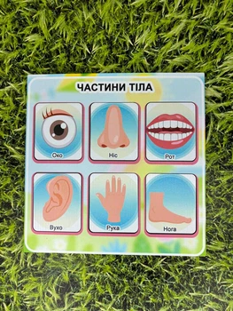 Гра вкладиш для малюків Частини тіла 20х20 см