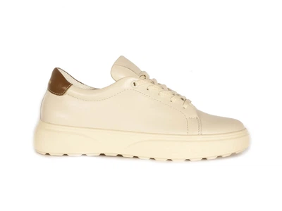 Кеди FRIVOLI F824-05-250 40