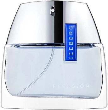 Туалетна вода для чоловіків Iceberg Effusion for Him 75 мл (8057714450531)