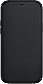 Панель Richmond & Finch Black RF для Apple iPhone 13 Pro Black (7350111355067)