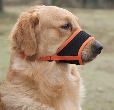 Намордник для собак тканинний Pet Style "Urban" Помаранчевий XL