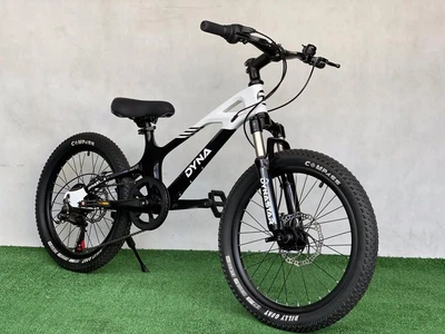 Велосипед детский DYNA 20 дюймов STAR M1 дорожный бело-черный