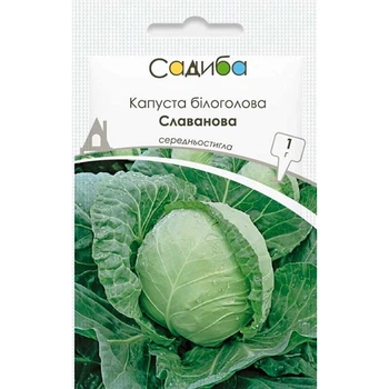 Капуста Славанова, 1 г, Садыба