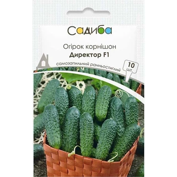 Огурец Директор F1, 10 шт, Садыба